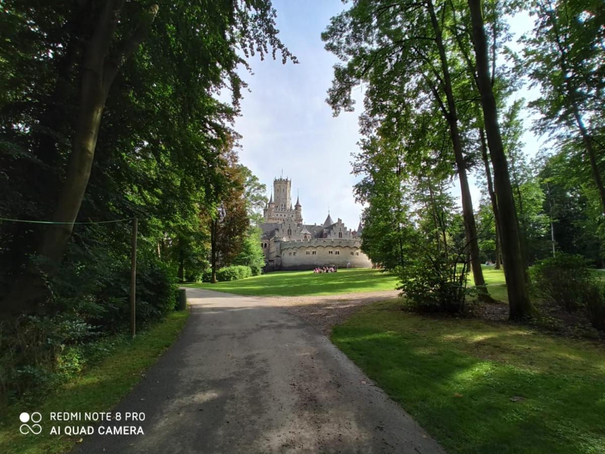 Ferienwohnung Colin Im Schoenen Weserbergland Naehe Freizeitpark Salzhemmendorf Dış mekan fotoğraf