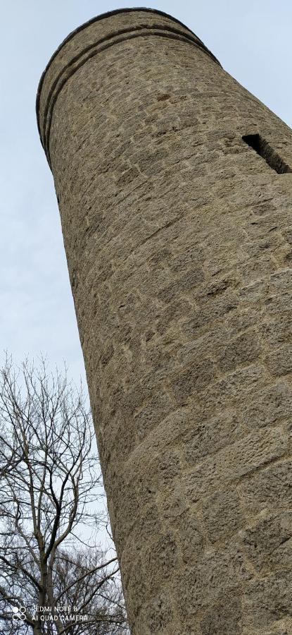 Ferienwohnung Colin Im Schoenen Weserbergland Naehe Freizeitpark Salzhemmendorf Dış mekan fotoğraf